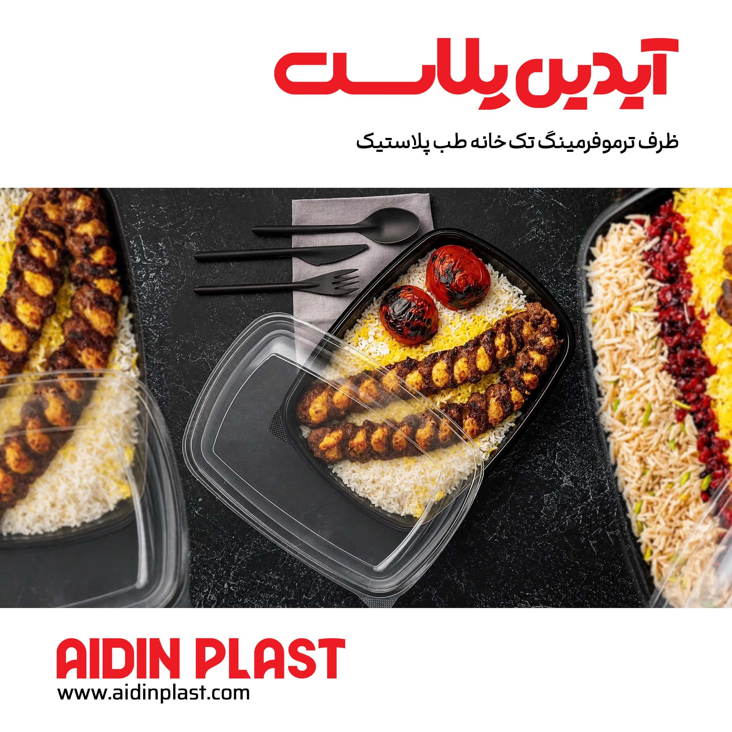 ظرف ترموفرمینگ تک خانه — تصویر ۲