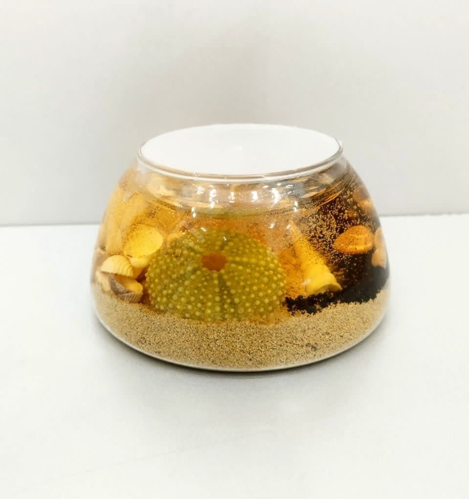 شمع ژله ای طرح دریایی /قطر 11 ارتفاع 6 سانتیمتر / کد 645/6
