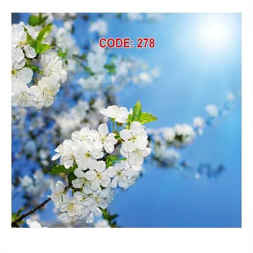 آسمان مجازی کد 278