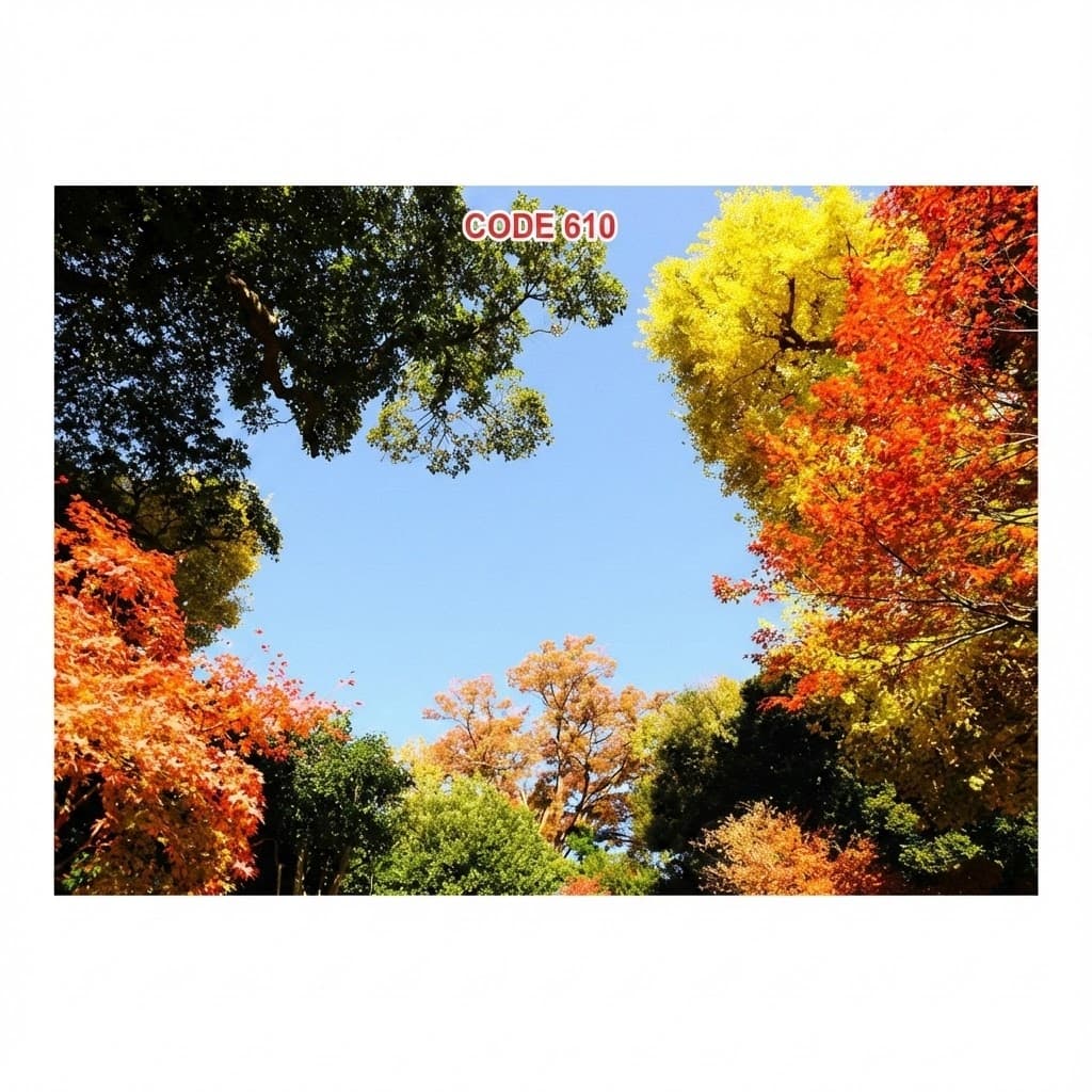 آسمان مجازی کد 610