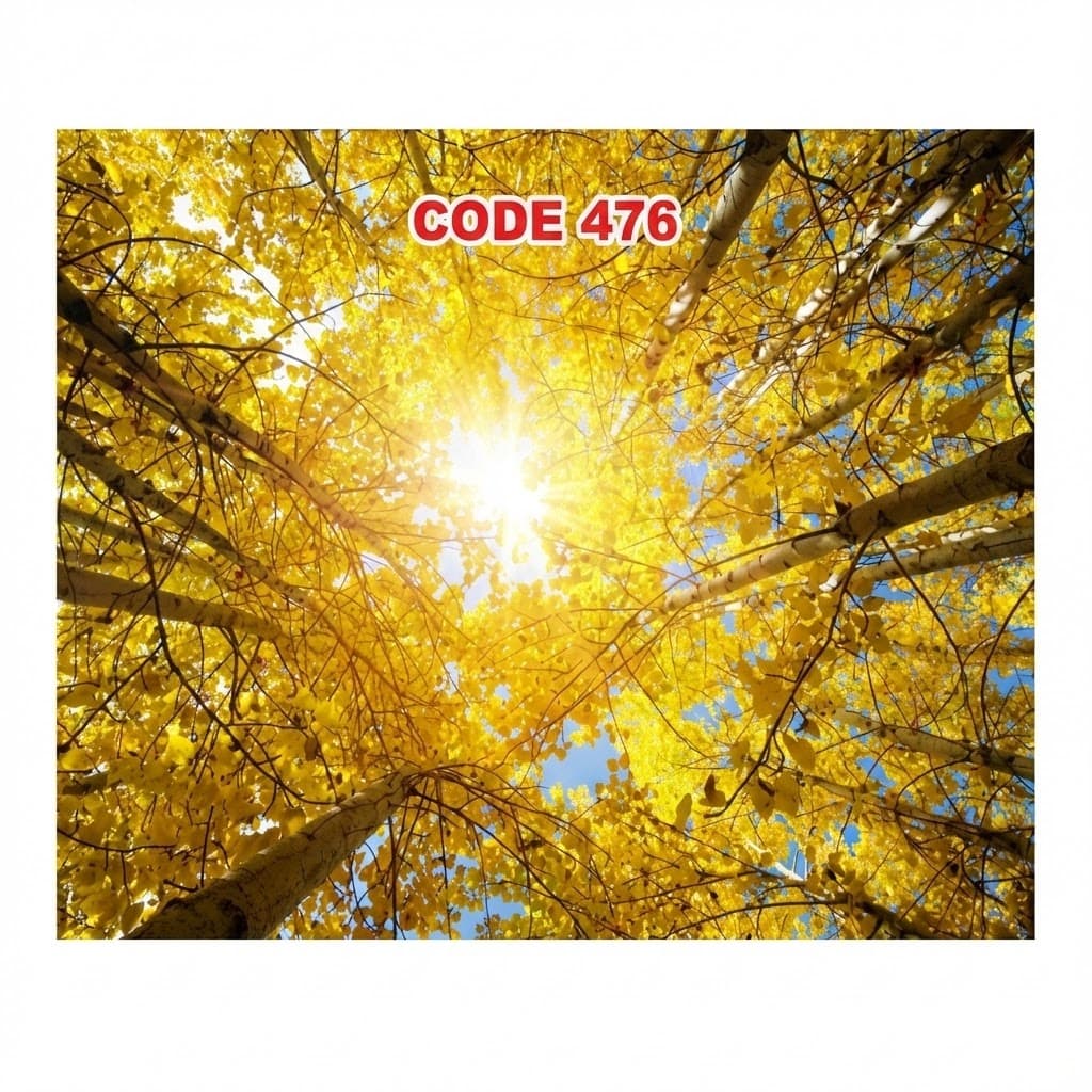 آسمان مجازی کد 476