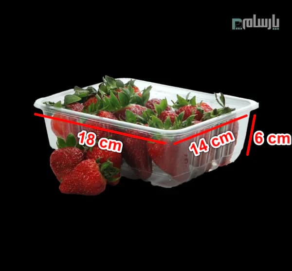 ظرف نیم پرسی یکبار مصرف پلی پروپیلن 6 سانت شفاف نوین رویا — تصویر ۲
