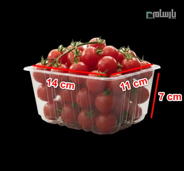 ظرف یکبار مصرف کرکره ای 7 سانت پلی پروپیلن شفاف نوین رویا — تصویر ۲