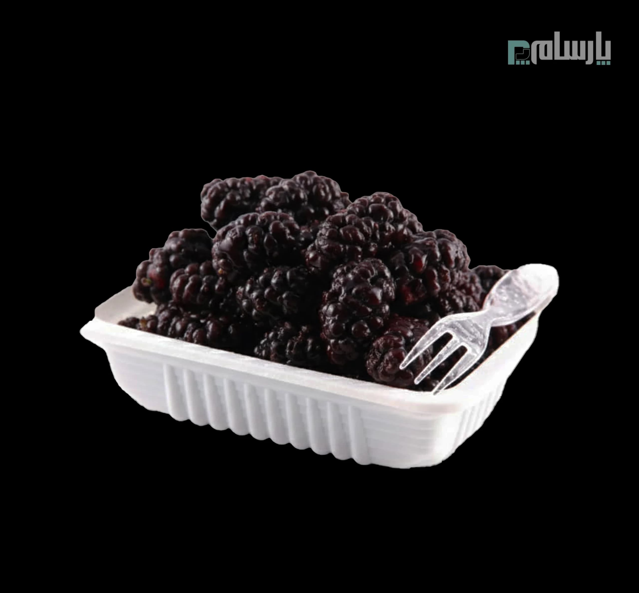 ظرف یکبار مصرف کرکره ای سفید پلی پروپیلن 3 سانت نوین رویا