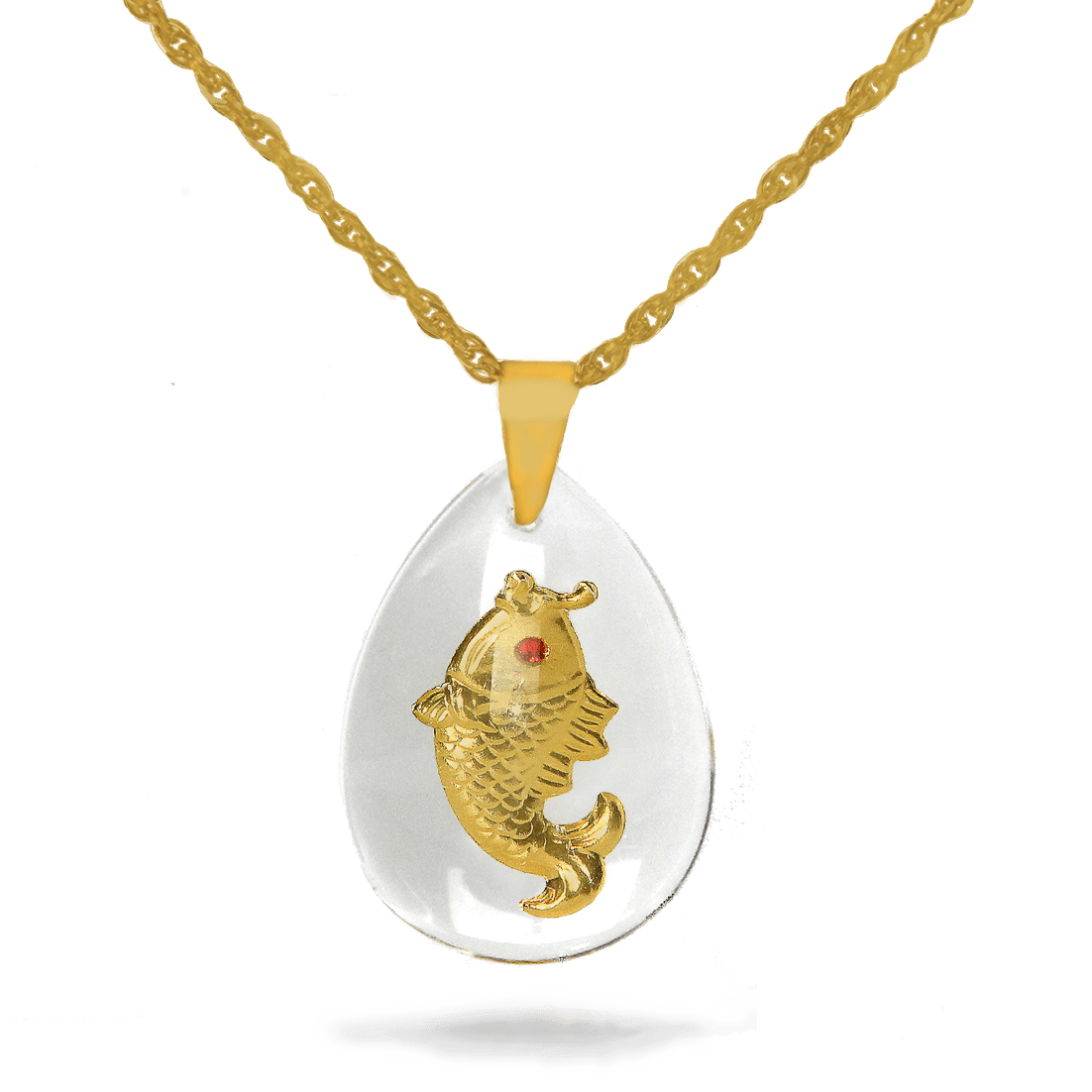 ماهی چشم قرمز(L)