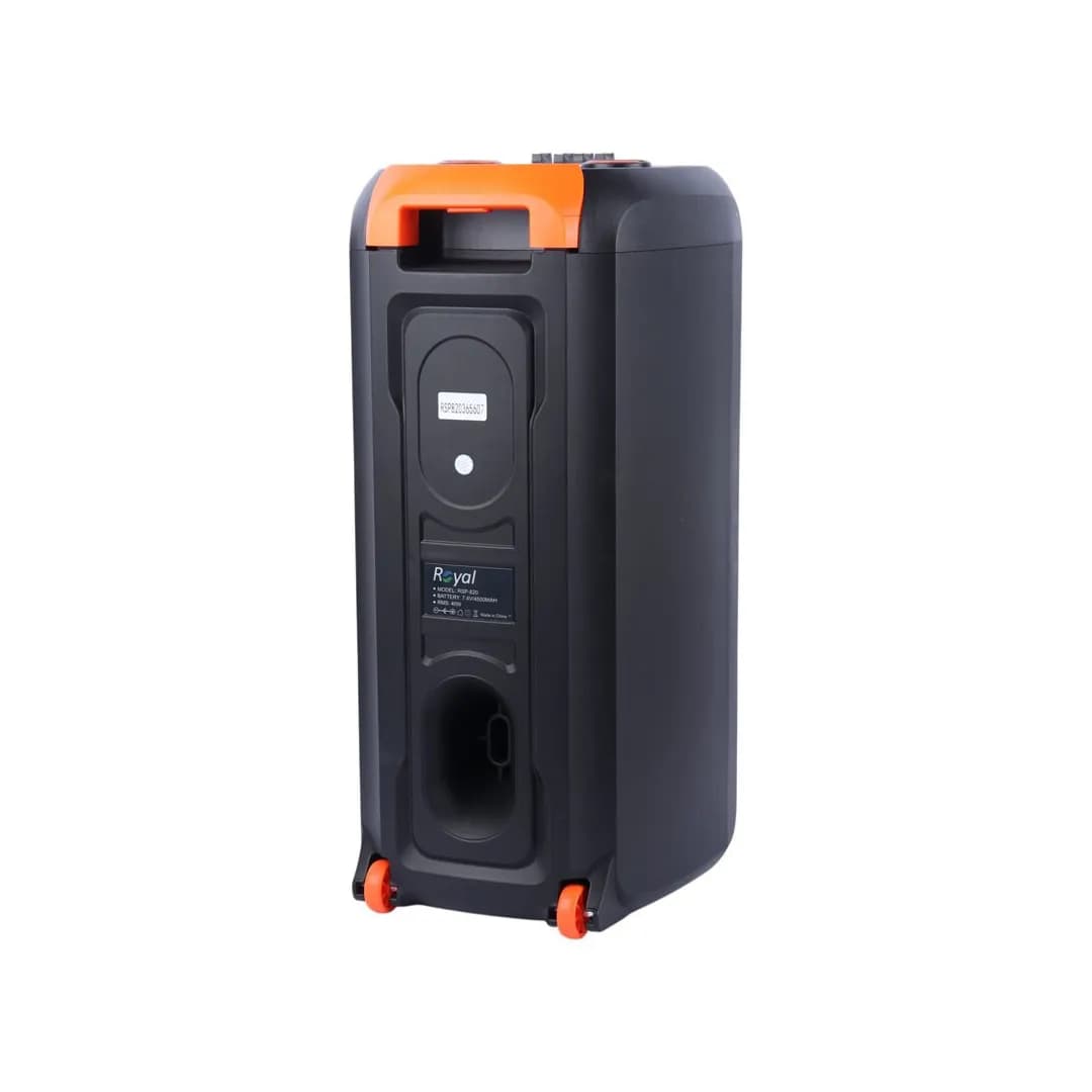 اسپیکر بلوتوثی قابل حمل رویال مدل RSP-820 — تصویر ۳