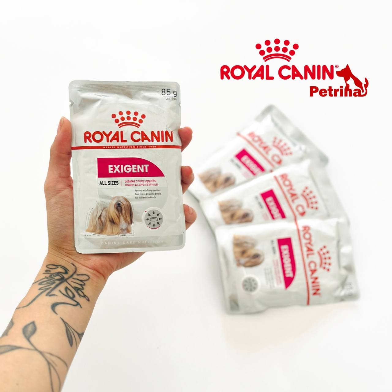 پوچ سگ رویال کنین اگزیجنت | 85 گرم | Royal Canin Exigent