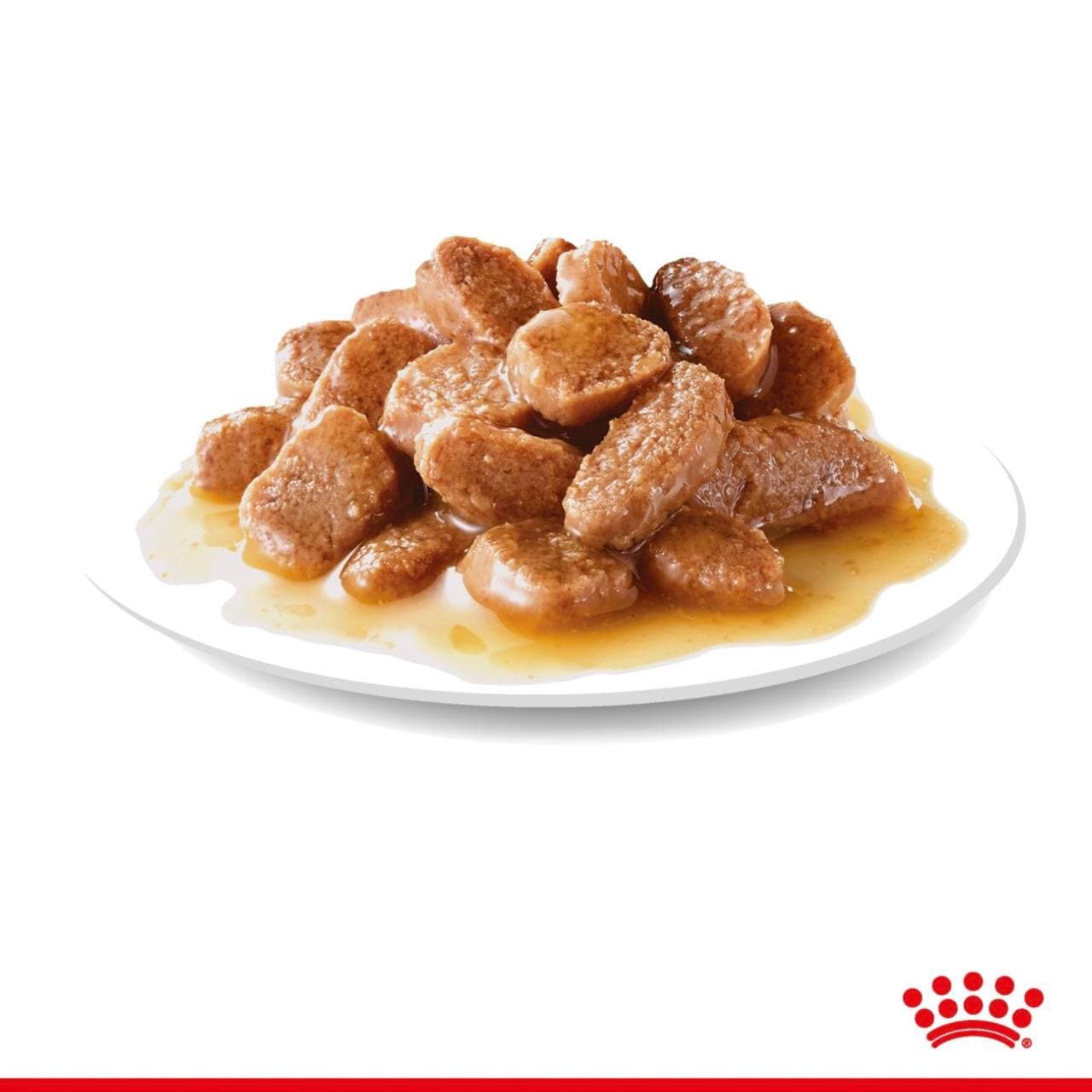 پوچ گربه رویال کنین مراقبتی پوست و مو | 85 گرم — تصویر ۳