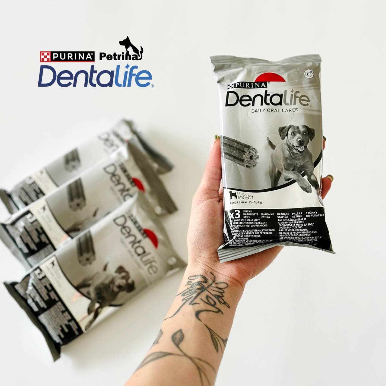 تشویقی دنتال سگ دنتالایف پورینا DentaLife | کاهش جرم و تارتار | سایز بزرگ (۳ تکه)