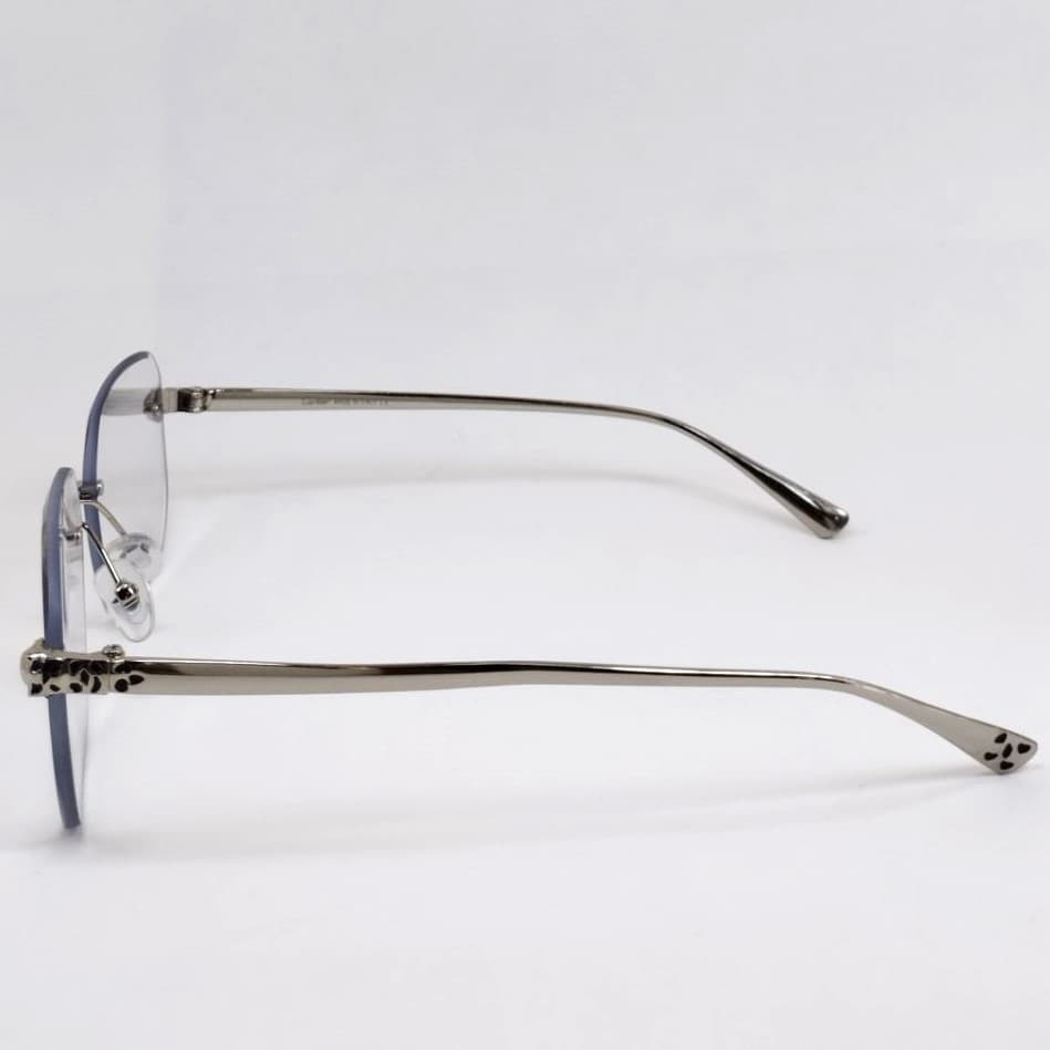 كارتير فتوكروميك BS31002 SILVER — تصویر ۳