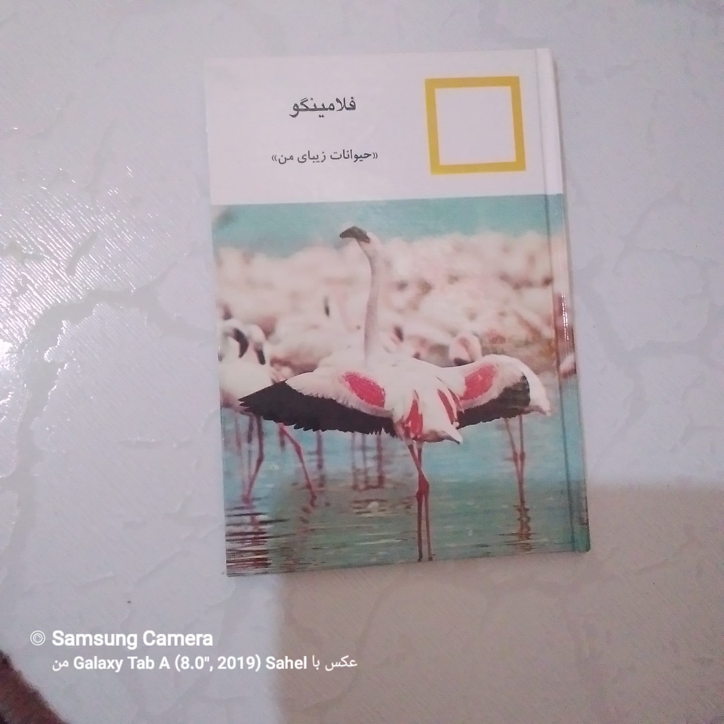 کتاب حیوانات زیبای من (فلامینگو)