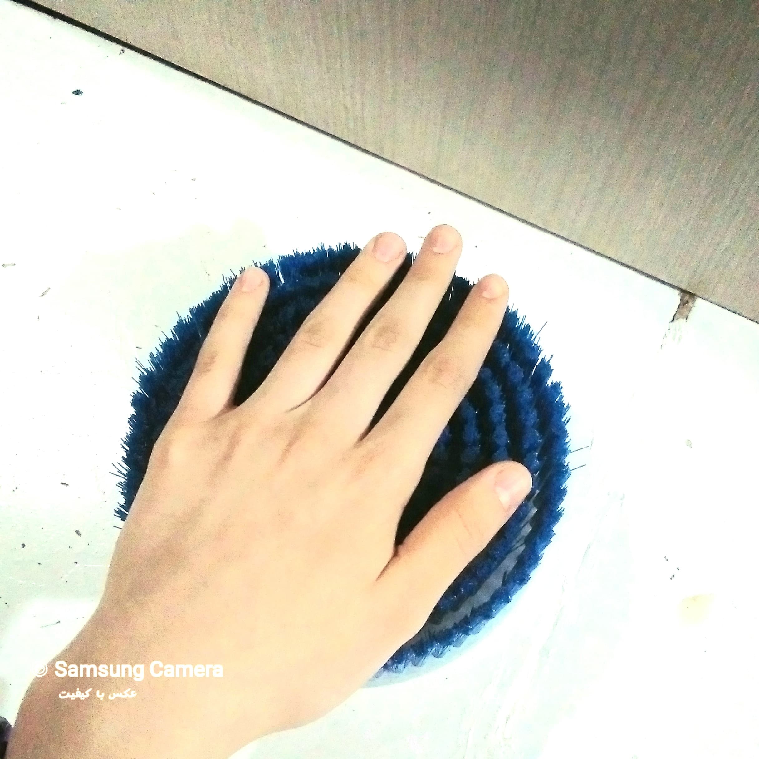 فرچه فرز نظافتی مناسب شستشو سرامیک، فرش، مبل و… — تصویر ۳