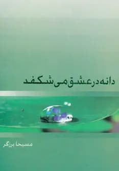 کتاب دانه در عشق می شکفد نشر ذهن آویز