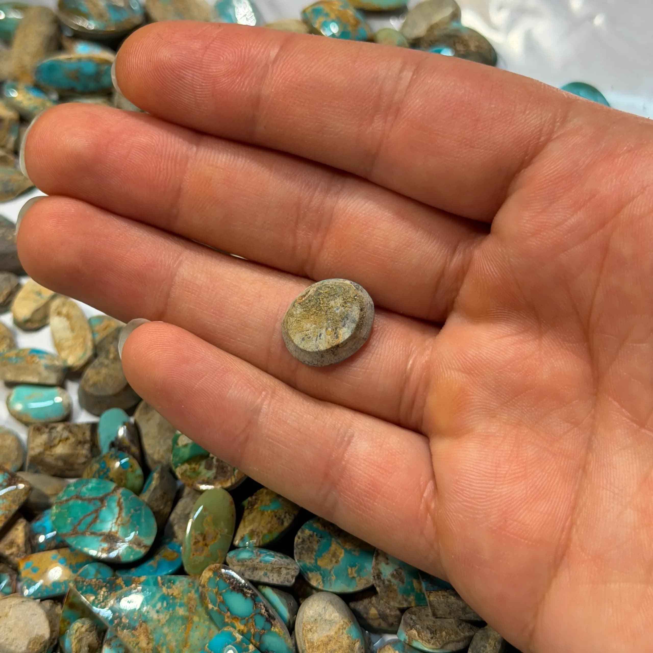 سنگ فیروزه شجر طبیعی نیشابور کد2292 — تصویر ۲