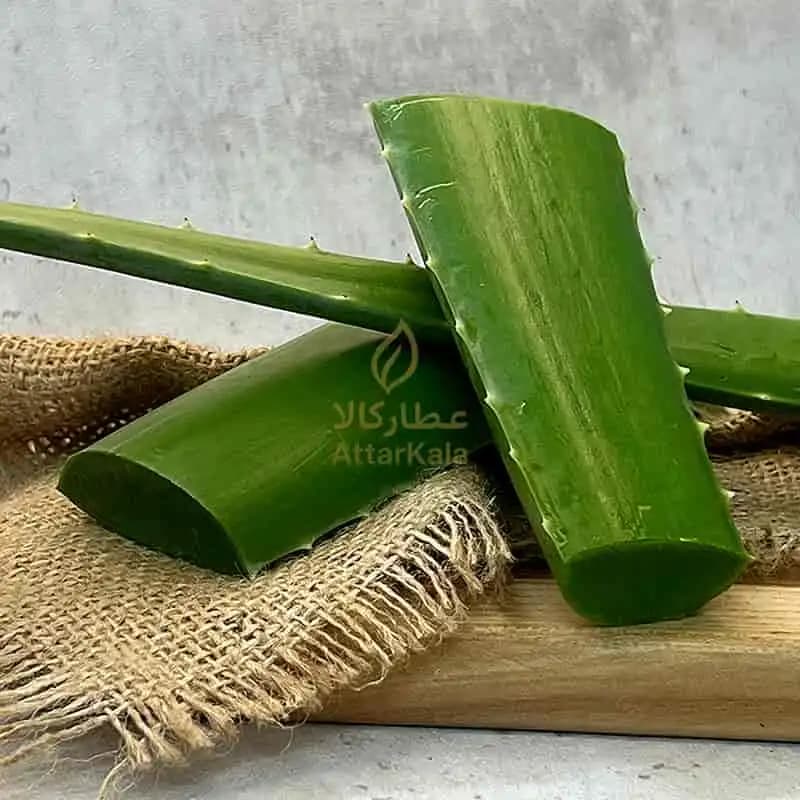 برگ آلوئه ورا