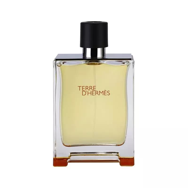 Hermes Terre D Hermes For Men EDT