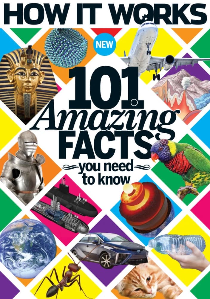 کتاب 101 Amazing Facts You Need to Know (۱۰۱ حقیقت شگفتانگیز که باید بدانید) نسخه انگلیسی PDF | جان وایت (Jon White، ویراستار)