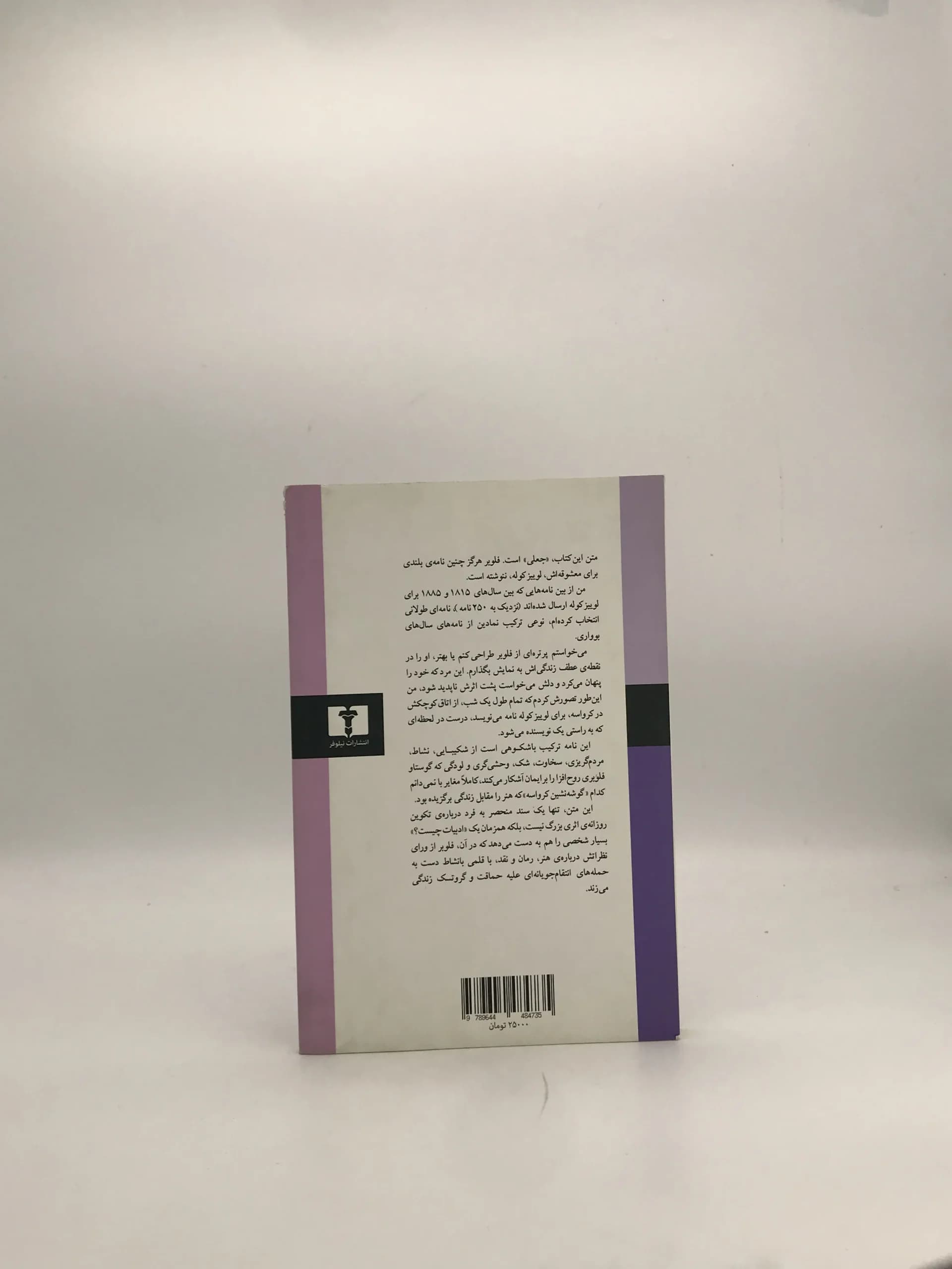 نوشتن مادام بوواری نوشته گوستاو فلوبر — تصویر ۲