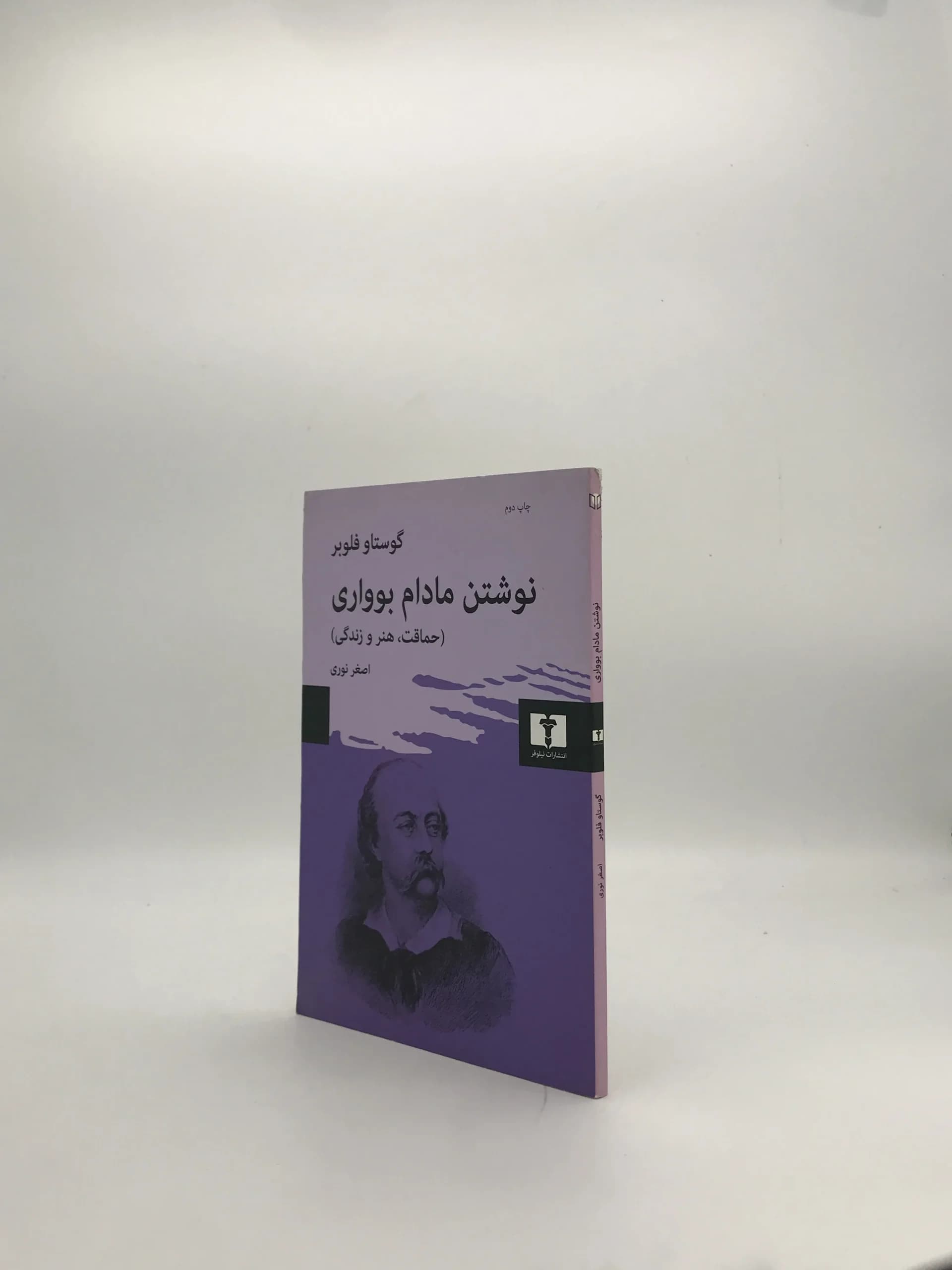 نوشتن مادام بوواری نوشته گوستاو فلوبر — تصویر ۳
