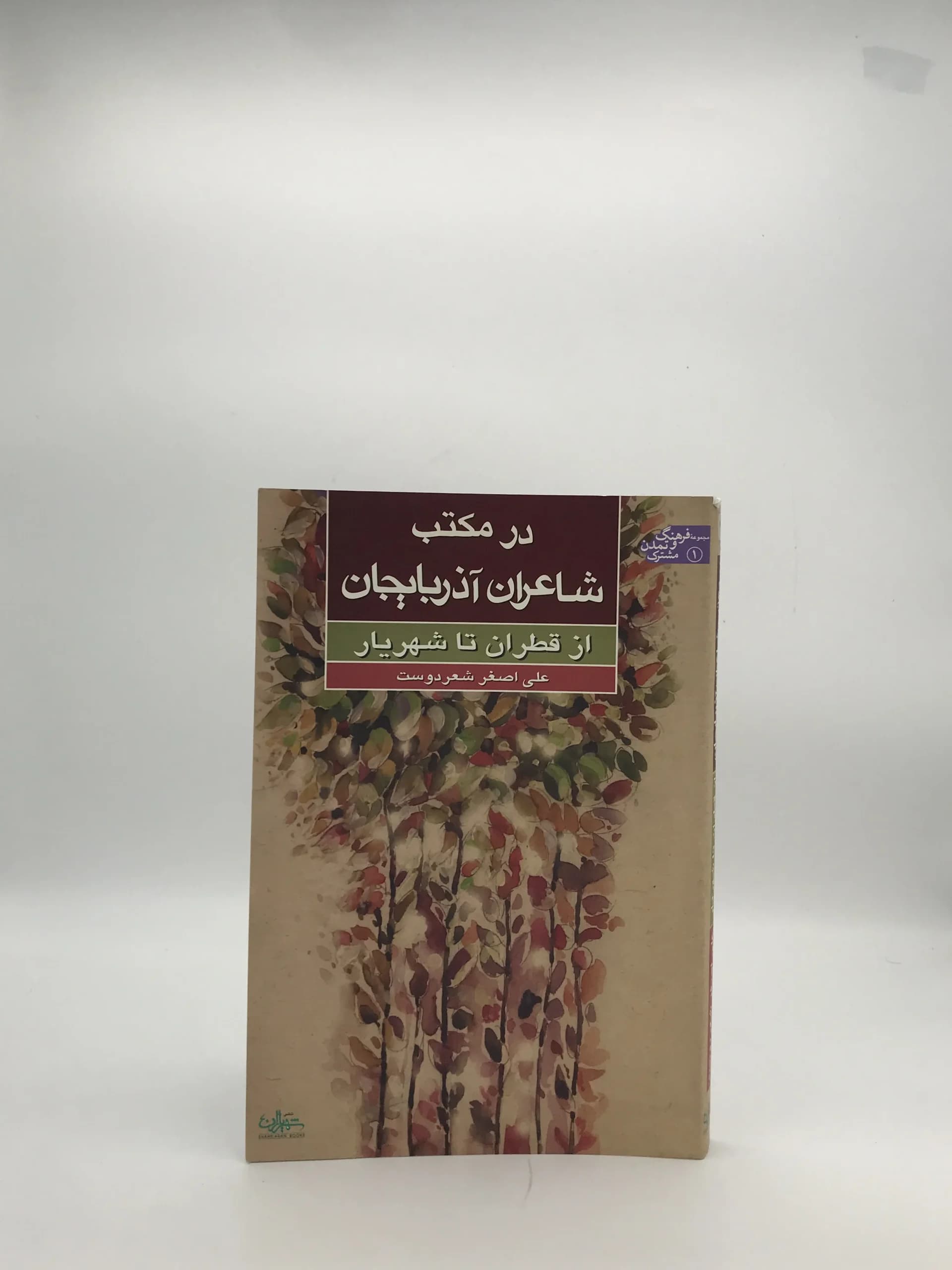 در مکتب شاعران آذربایجان نوشته علی اصغر شعر دوست