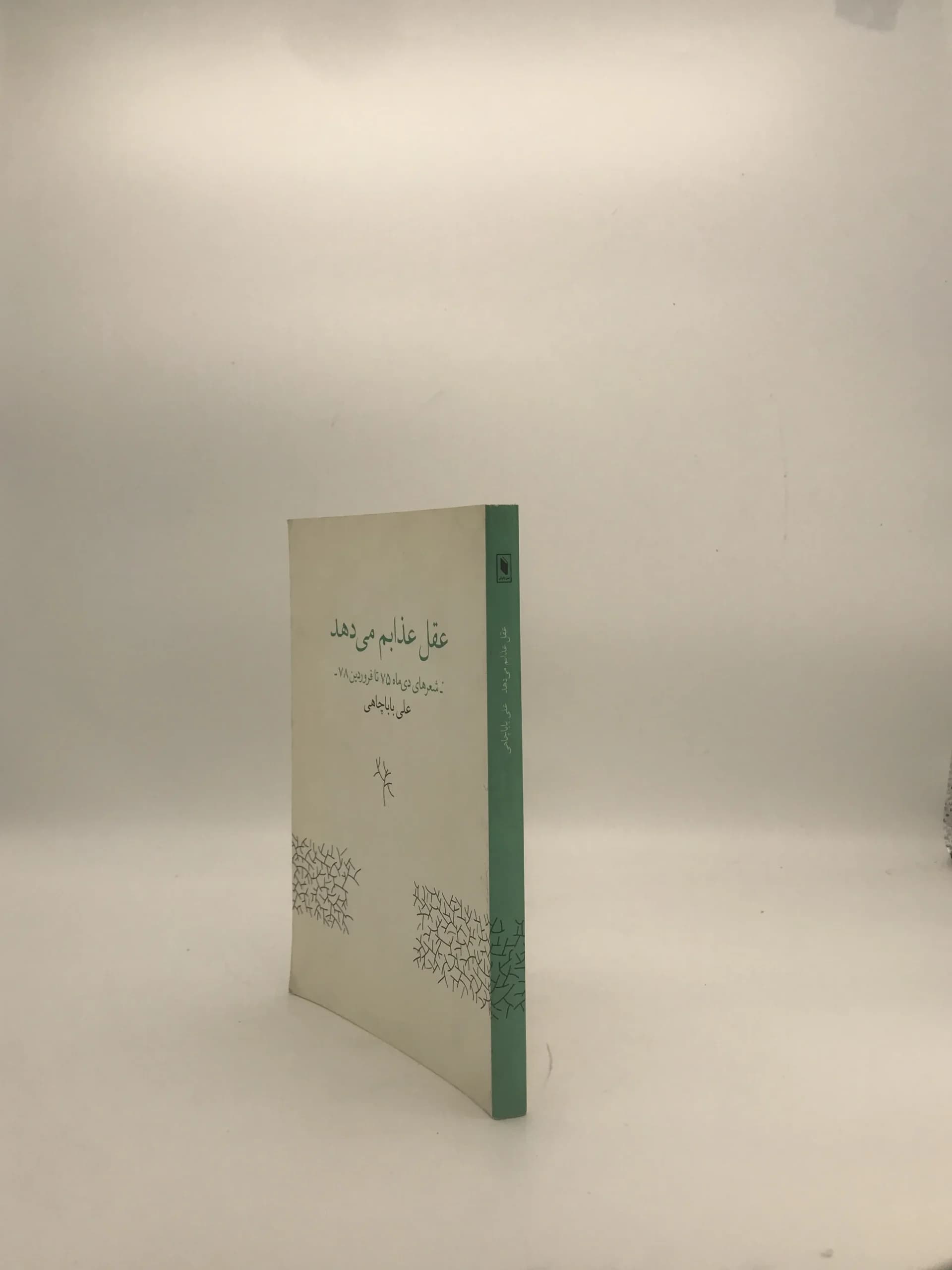 عقل عذابم میدهد نوشته علی بابا چاهی — تصویر ۳