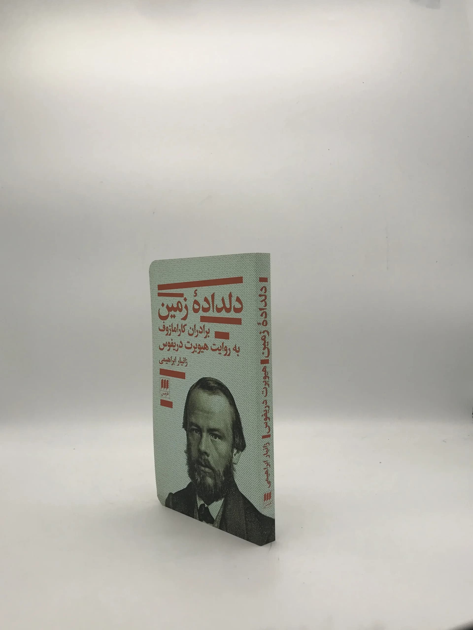 دلداده زمین نوشته هیوبرت دریفوس — تصویر ۳