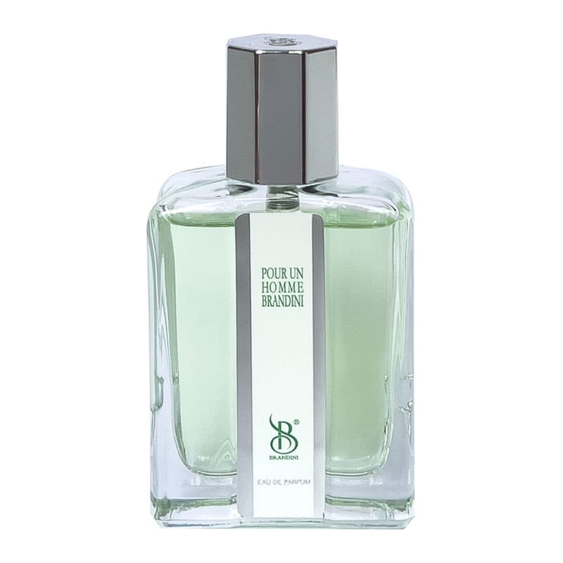 عطر ادکلن برندینی پوران هوم مردانه 33 میل — تصویر ۳