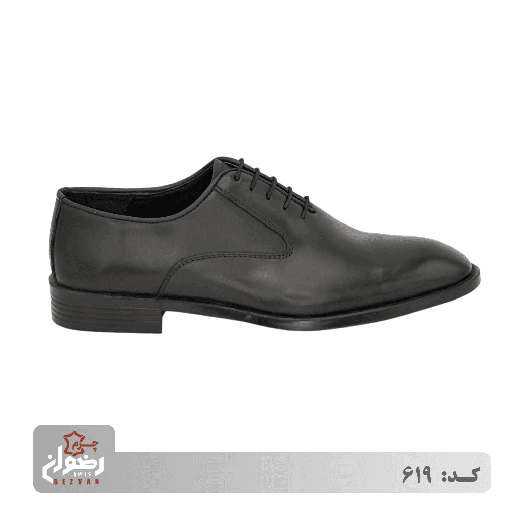 کد 619 | چرم رضوان — تصویر ۲