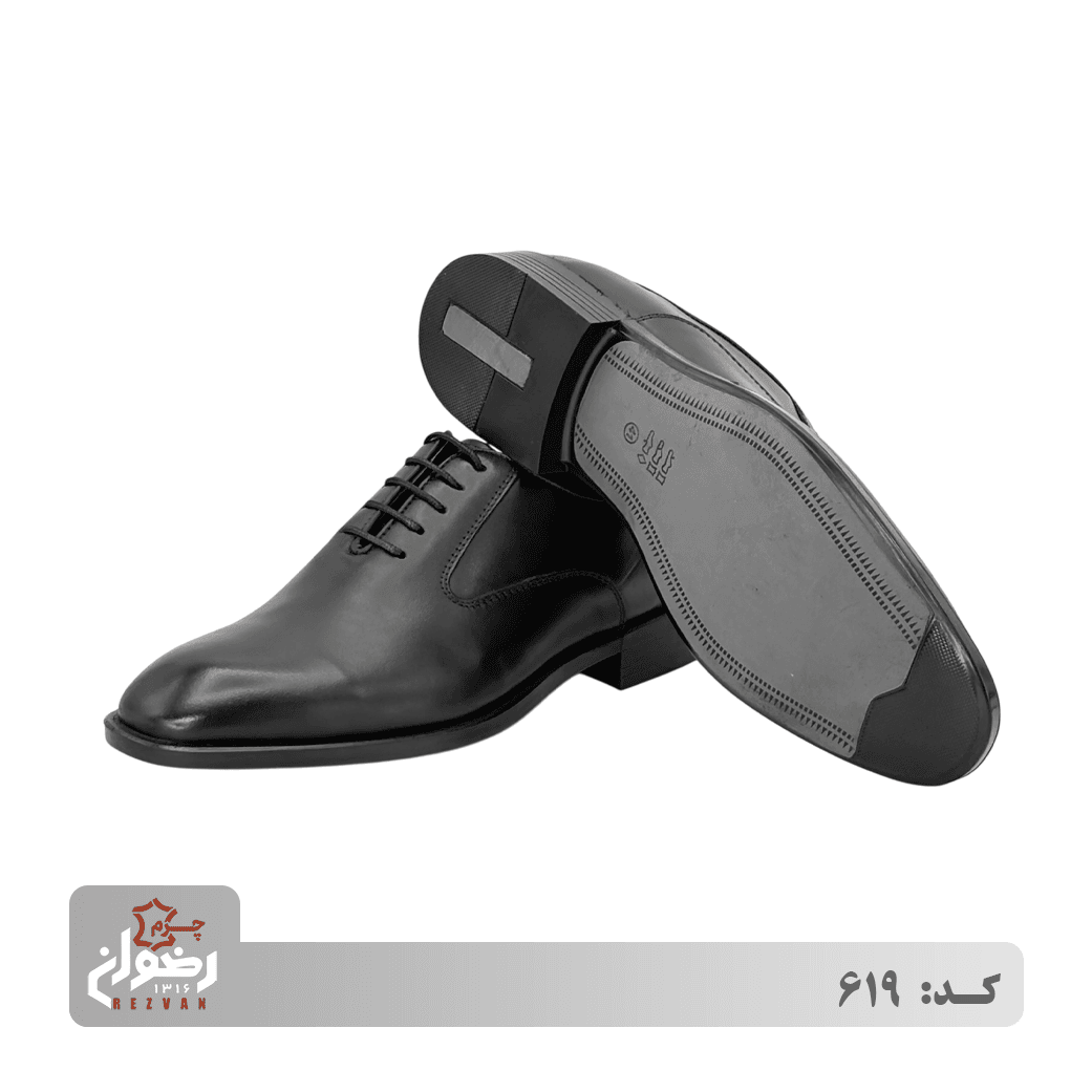 کد 619 | چرم رضوان — تصویر ۳