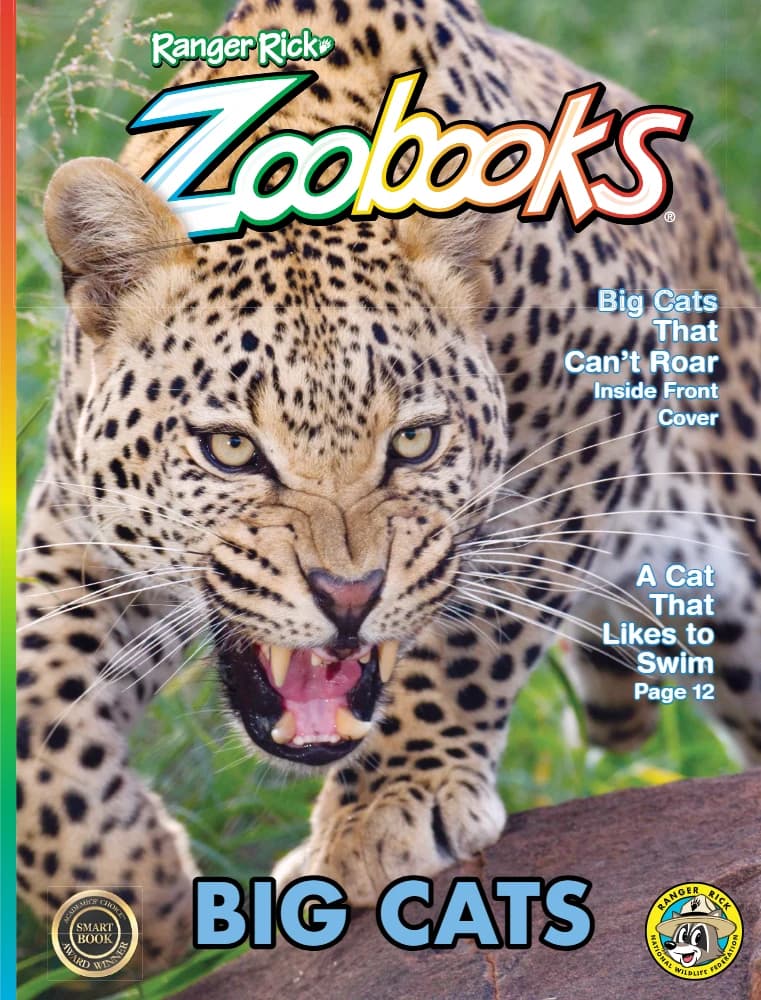 کتاب Ranger Rick Zoobooks Big Cats 2024 (کتاب‌های باغ‌وحش رنجر ریک؛ گربه‌سانان بزرگ 2024) نسخه انگلیسی PDF | نامشخص