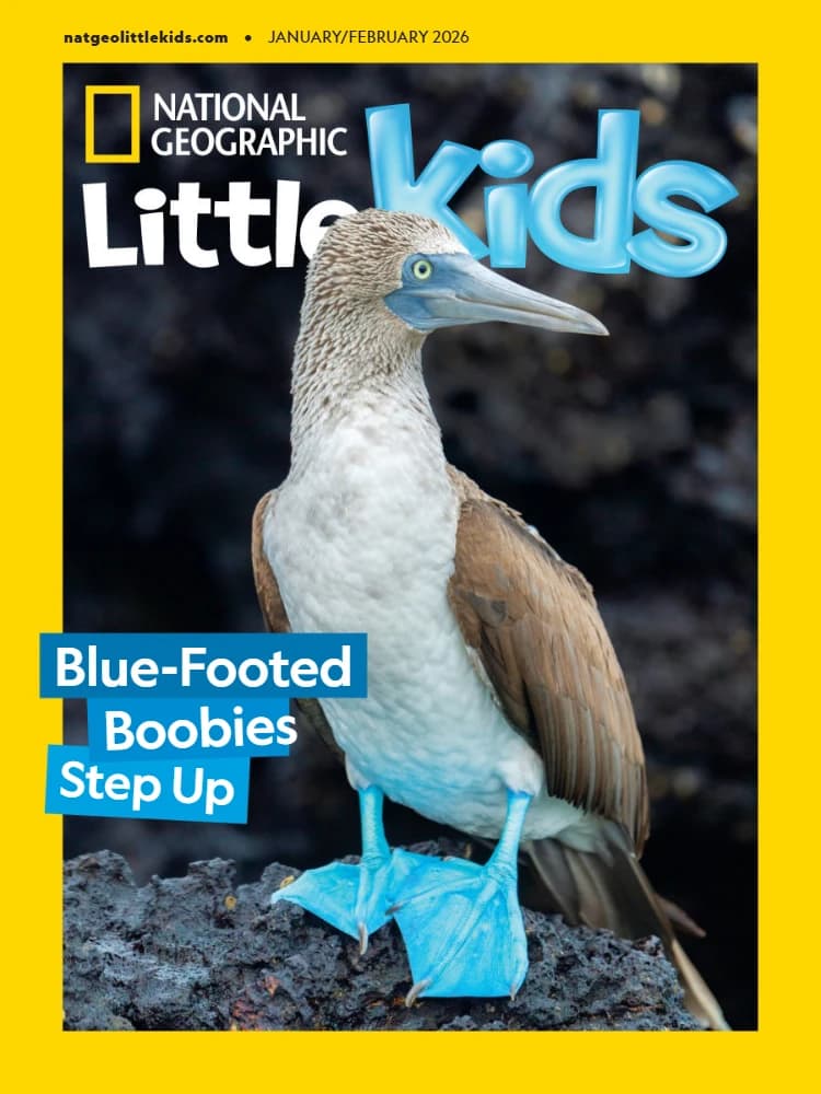 کتاب National Geographic Little Kids USA (نشنال جئوگرافیک خردسالان آمریکا) نسخه انگلیسی PDF | نامشخص