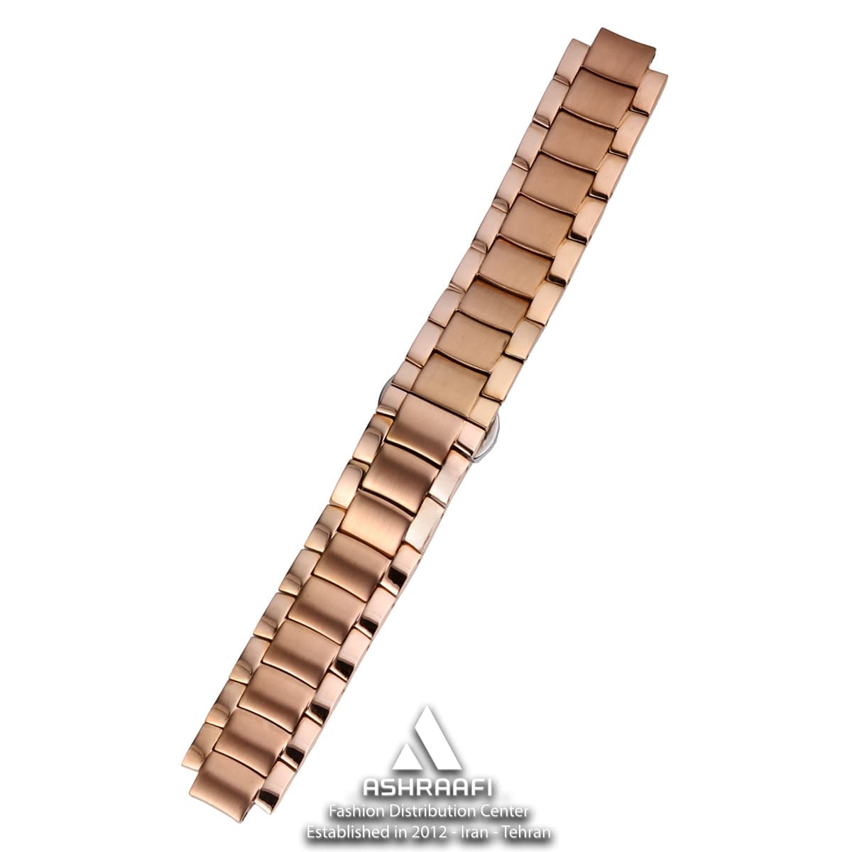 بند استیل ساعت مچی Watch Strap RG-10