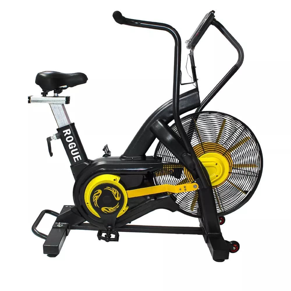 ایربایک Rogue مدل J06