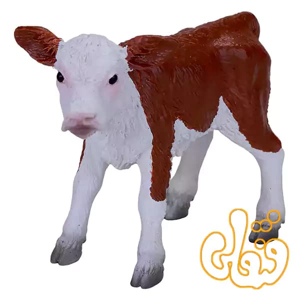 فیگور گوساله هرفورد موجو Hereford Calf 381075 — تصویر ۲