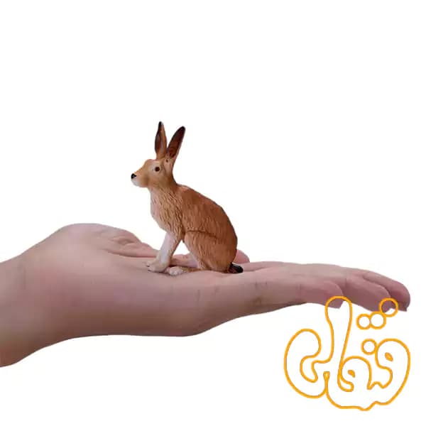 فیگور خرگوش صحرایی موجو Hare 381072 — تصویر ۴