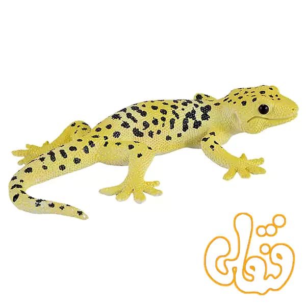 فیگور مارمولک لئوپارد موجو Leopard Gecko 381077 — تصویر ۴