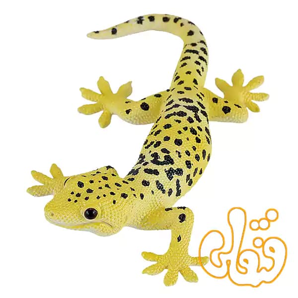 فیگور مارمولک لئوپارد موجو Leopard Gecko 381077 — تصویر ۳