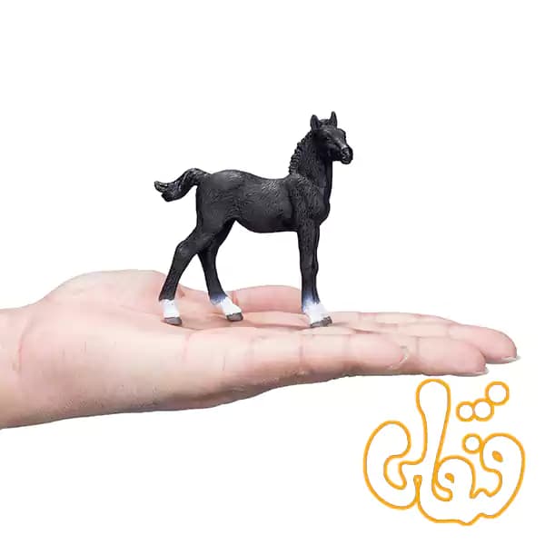فیگور کره اسب سیاه هانوور موجو Hanoverian Foal Black 381000 — تصویر ۶