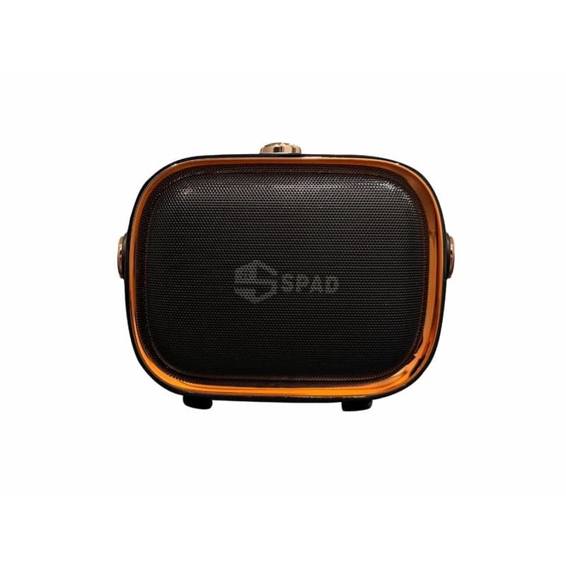 اسپیکر بلوتوثی قابل حمل اسپاد مدل SP-220 | همراه با میکروفون گارانتی دار — تصویر ۵