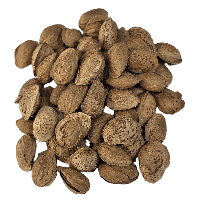 بادام درختی محب خام