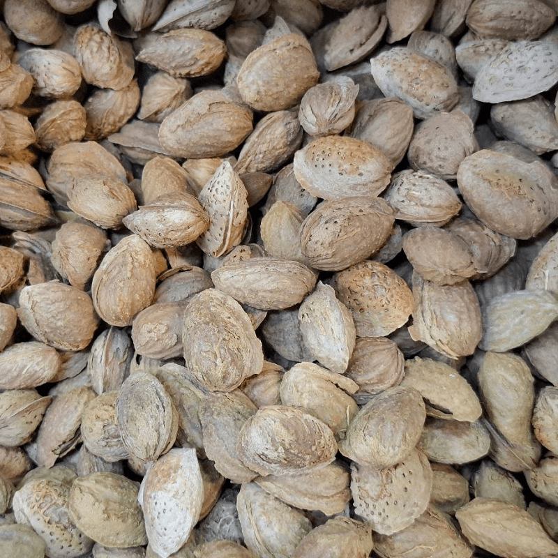 بادام درختی محب خام — تصویر ۲