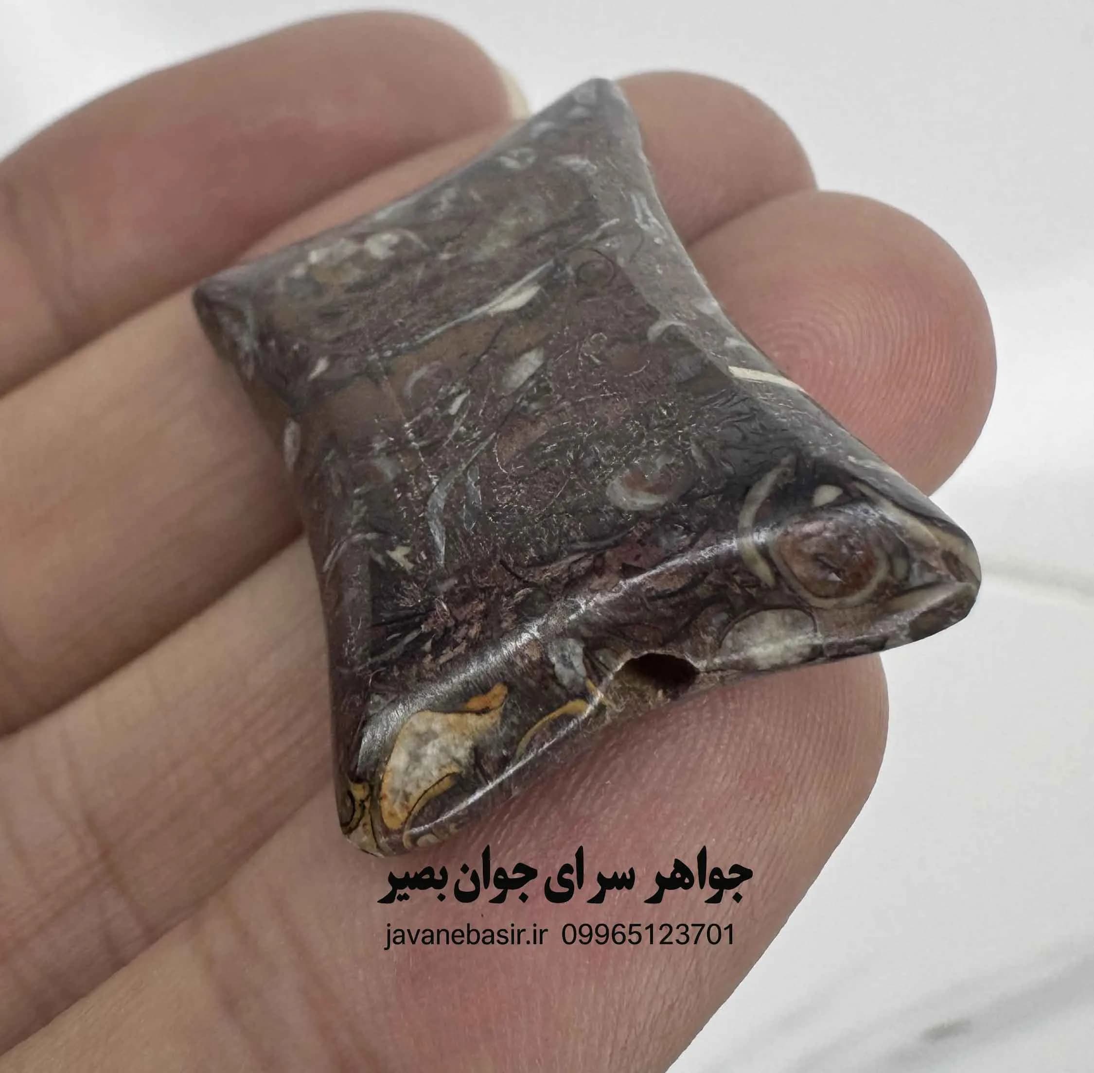 سنگ توریتلا آگات | فسیل کهن حلزون‌های دریایی با انرژی زمین و تاریخ