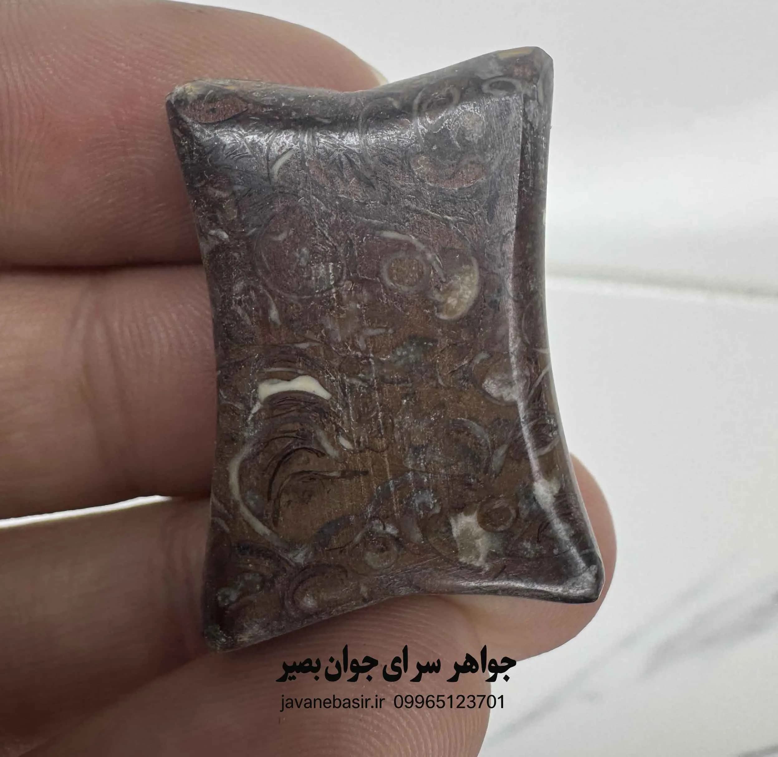 سنگ توریتلا آگات | فسیل کهن حلزونهای دریایی با انرژی زمین و تاریخ — تصویر ۲