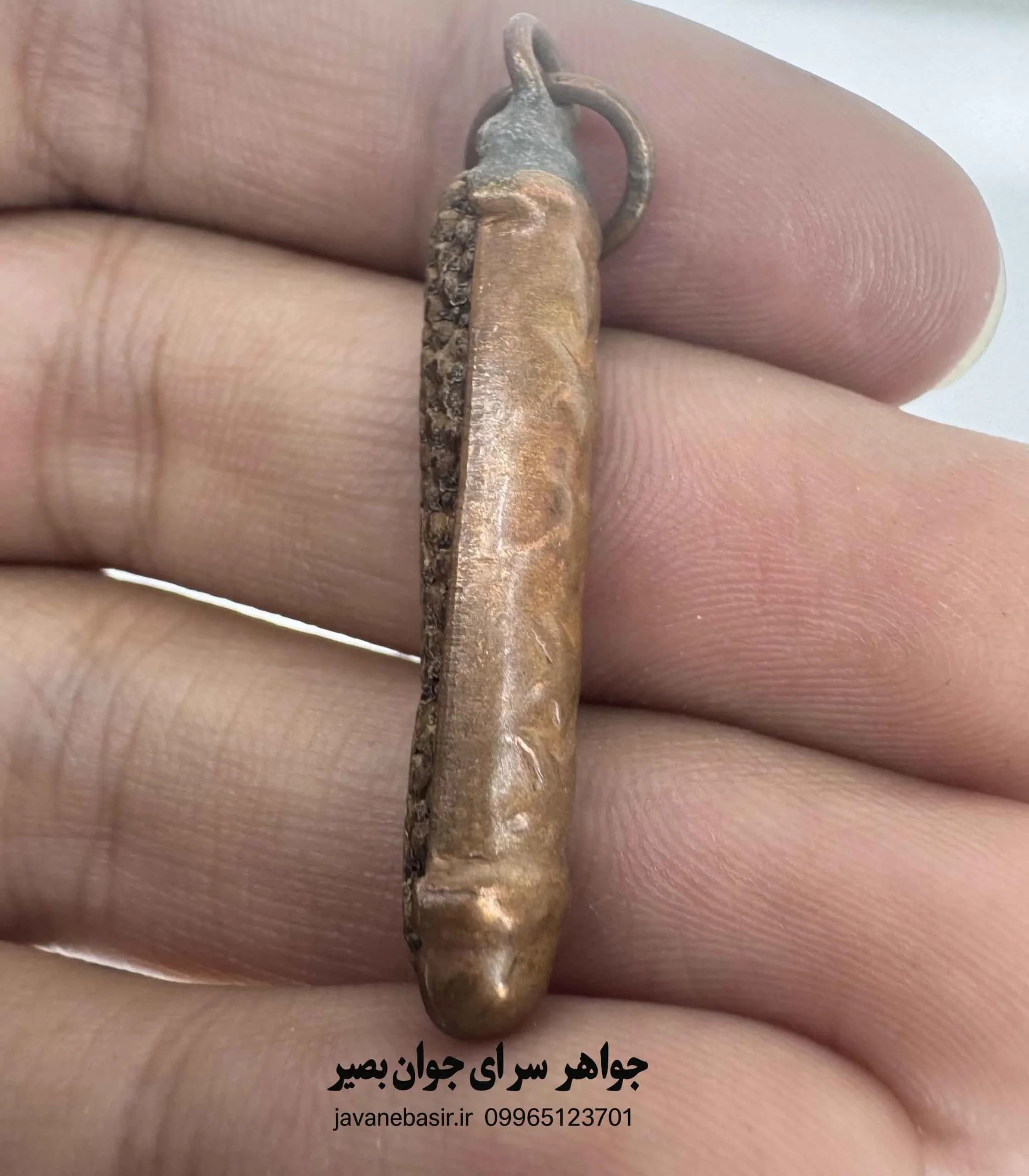 عرج نباتی اصل کنیا | عرج بری کمیاب با ظاهر کهن و جایگاه ویژه در باورهای سنتی — تصویر ۲