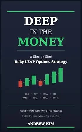 و دانلود نسخه کامل کتاب زبان اصلی DEEP IN THE MONEY: A Step-by-Step Baby LEAP Options Strategy | دانلود کتاب خارجی