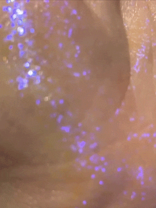 گلیتر ژلی شیگلم Sheglam مدل GLITTER WIZARD INVISIBLE JELLY وزن 5 گرم — تصویر ۷