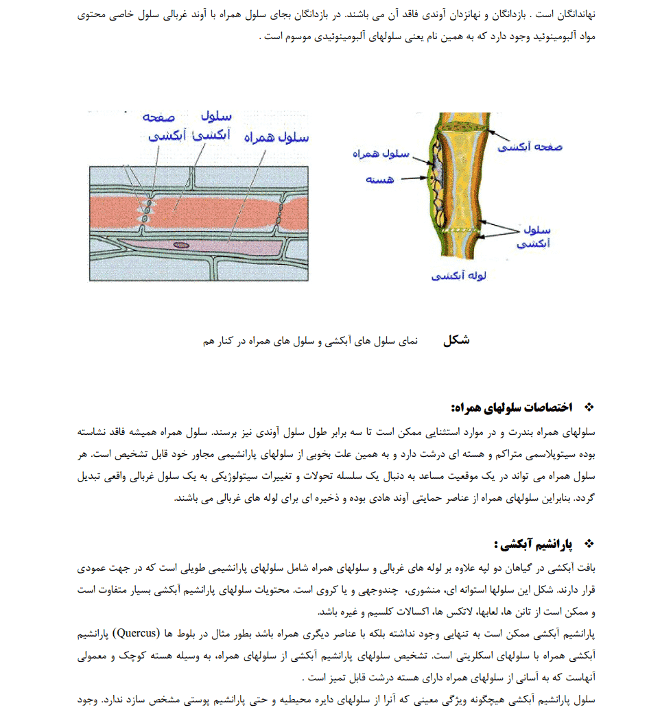 دانلود جزوه گیاه شناسی 1 — تصویر ۵