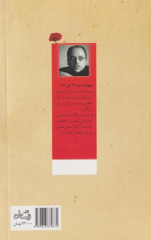 دشت شقایق ها — تصویر ۴