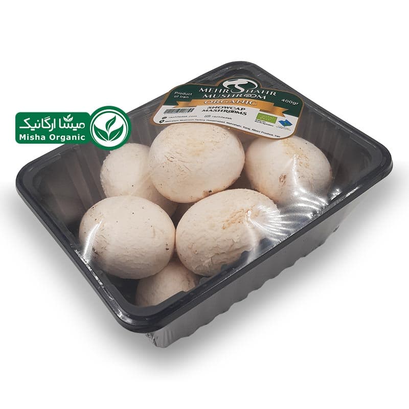 قارچ ارگانیک مهر شهر – 400 گرمی — تصویر ۲
