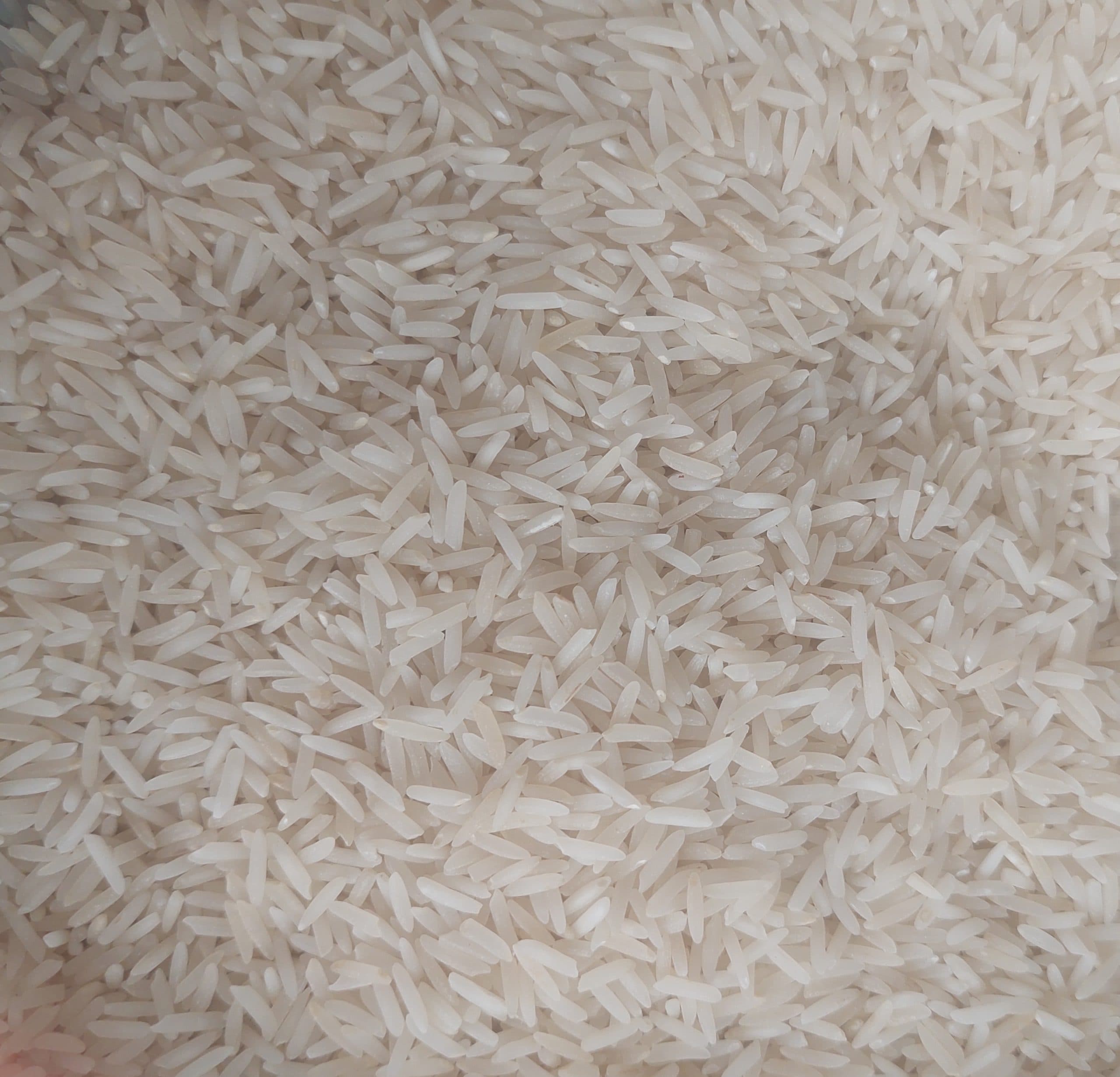 برنج طارم هاشمی گیلان ۱۰ کیلویی — تصویر ۲